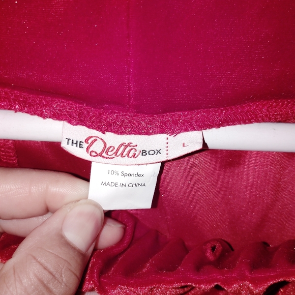 Delta Sigma Theta Women's Velvet Track Suit with White Side Stripe - Dark Red L - Picture 7 of 9